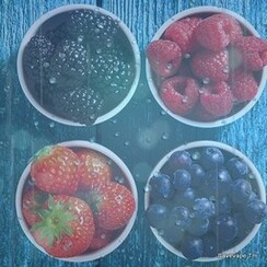 THAWED SAUCE 1 ML