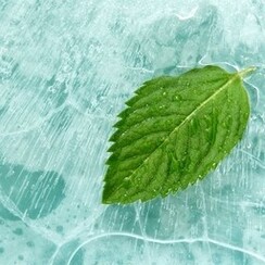 MENTHOL 1 ML