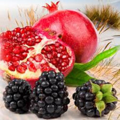 SOLAR BERRY 1 ML