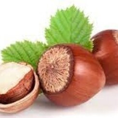 HAZELNUT 1 ML