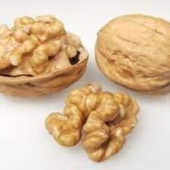 WALNUT 1 ML