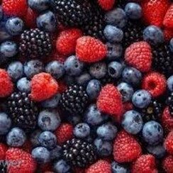 FOREST FRUITS 1 ML