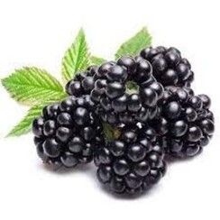 BROMBEERE 1 ML