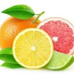 CITRUS MIX 1 ML