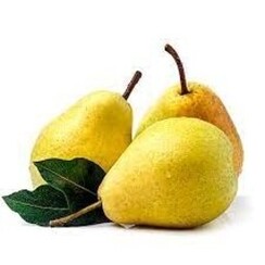 PEAR 1 ML