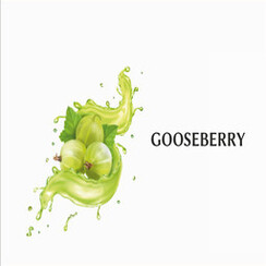 GOOSEBERRY  1 ML