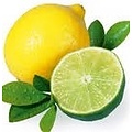 AW MALAYSIAN STYLE ZITRONE/LIMETTE