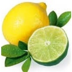 ZITRONE/LIMETTE