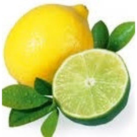 AW MALAYSIAN STYLE ZITRONE/LIMETTE