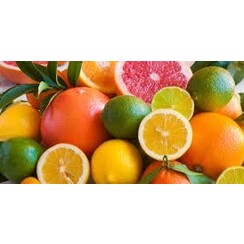 ZITRUSFRÜCHTE