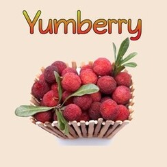 YUMBERRY 1 ML