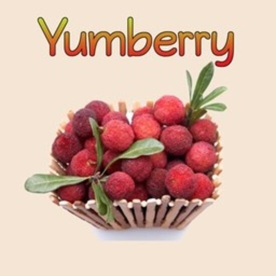 FLAVOR WEST YUMBERRY 1 ML