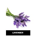 FLAVOR WEST LAVENDEL 1 ML