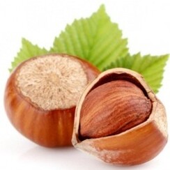 HAZELNUT 1 ML