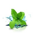 FLAVOR WEST MENTHOL 1 ML
