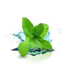 MENTHOL 1 ML