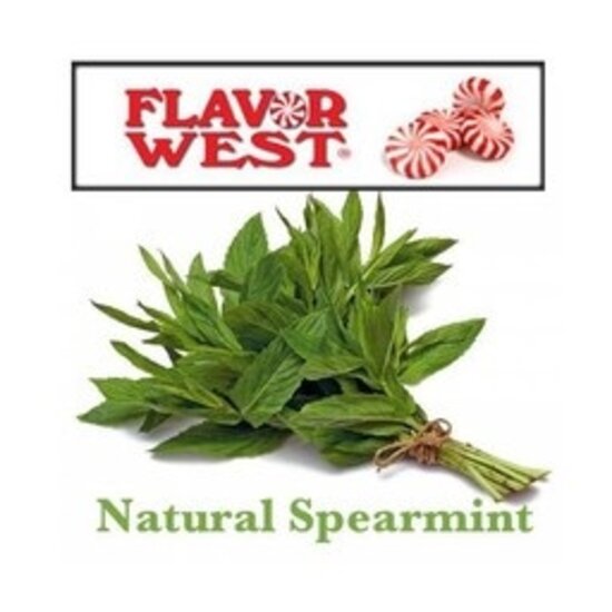 FLAVOR WEST SPEARMINT 1 ML