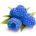 FLAVOR WEST BLUE RASPBERRY 1 ML