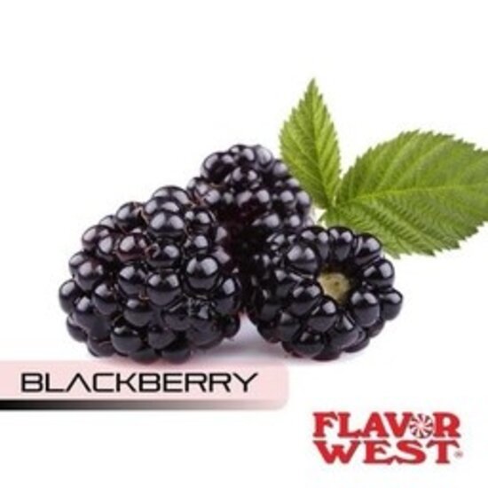 FLAVOR WEST BROMBEER 1 ML