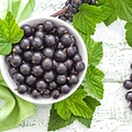 TPA BLACK CURRANT