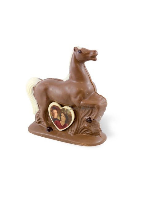 Chocolaterie Vink Paard met foto
