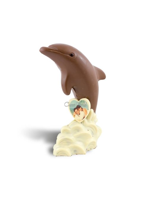Chocolaterie Vink Dolfijn met foto