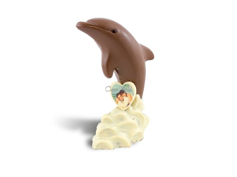 Chocolaterie Vink Dolfijn met foto