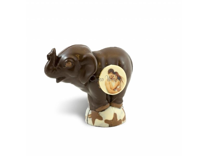 Chocolaterie Vink Chocolade Olifant met Foto