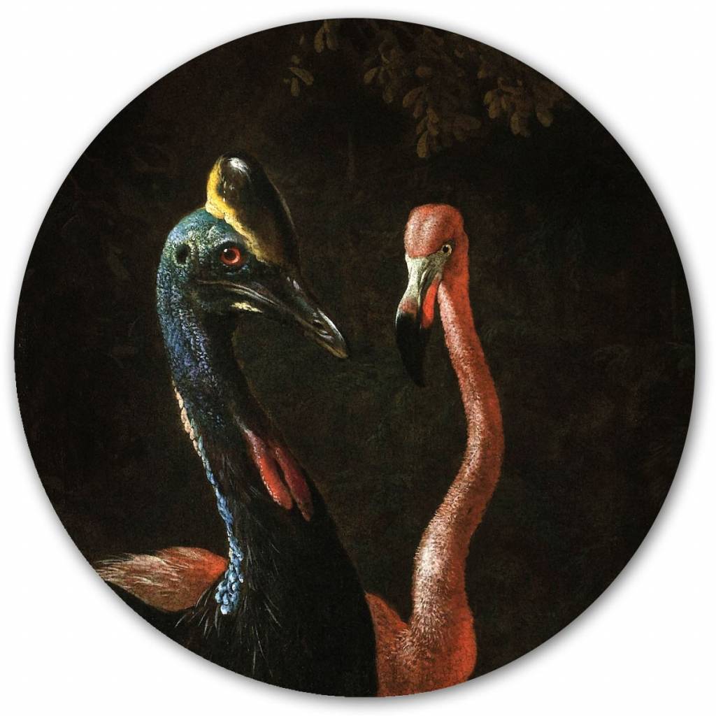 Groovy Magnets magnet sticker Crackle 'Cassowary and friend' birds