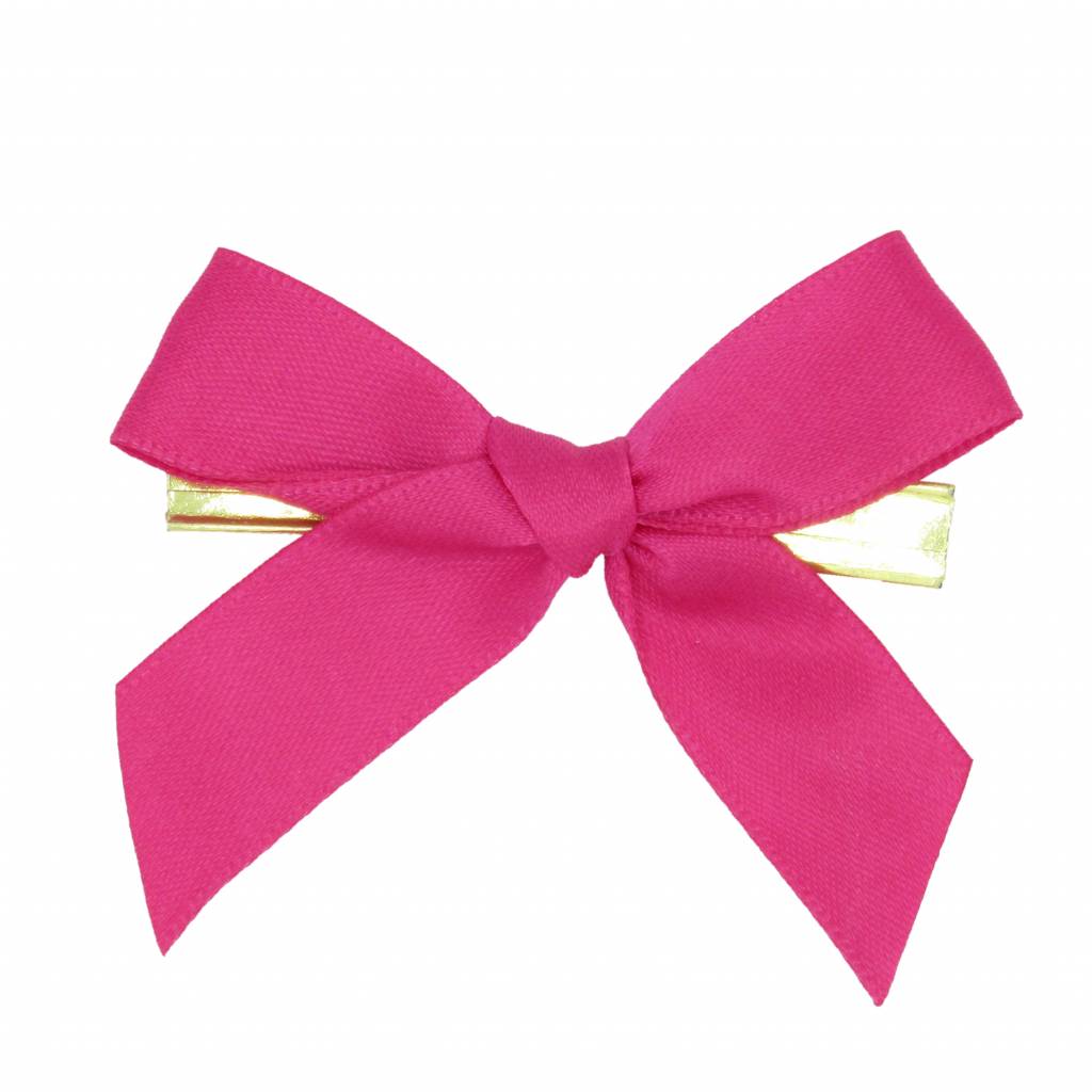 Ready to go ribbon with clip - fuchsia