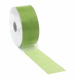 Organza ribbon - Spring Green