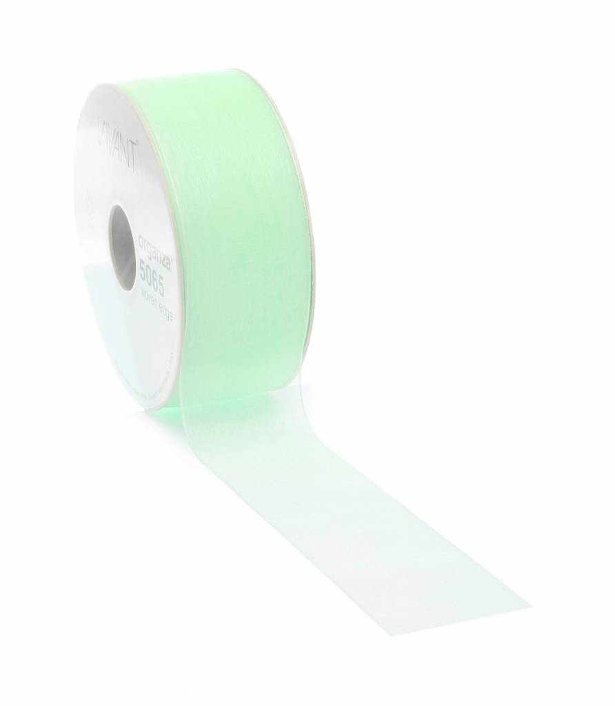 Organza ribbon wired - Mint