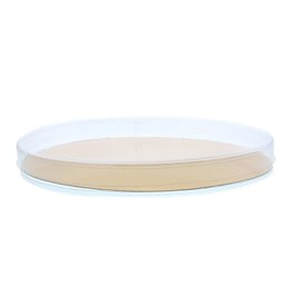 Transparant oval box for chocolate shoe