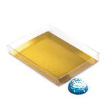 Transparant Boxes with gold carton - 160*120*20mm - 50 pieces