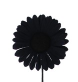 Flower Germini - 65mm - Black - 96 pieces