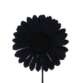 Blume Germini  Schwarz