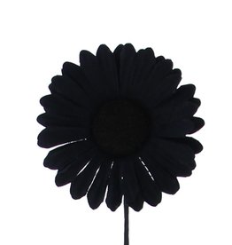 Fleur Germini  noir