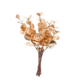 Decoration  sprig of eucalyptus gold