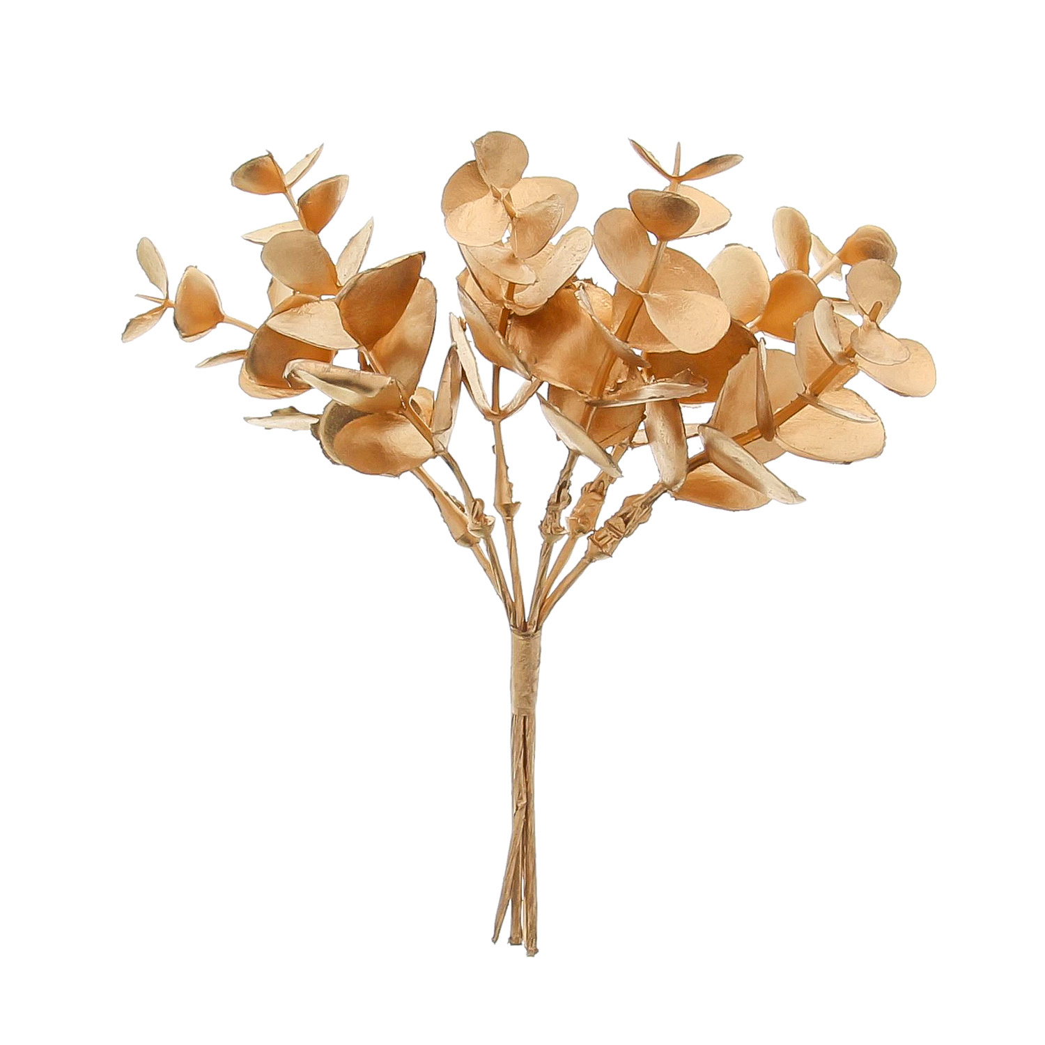 Decoration  sprig of eucalyptus gold