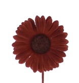 Blume Germini - 65mm -brown - 96 Stück
