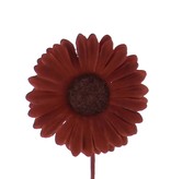 Flower Germini - 65mm -brown- 96 pieces