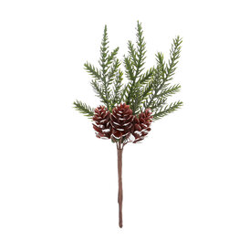 Branche d'épicéa avec 3 pommes de pin