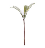 Mistletoe with 1 berry 60*60*90 mm - 100 pieces