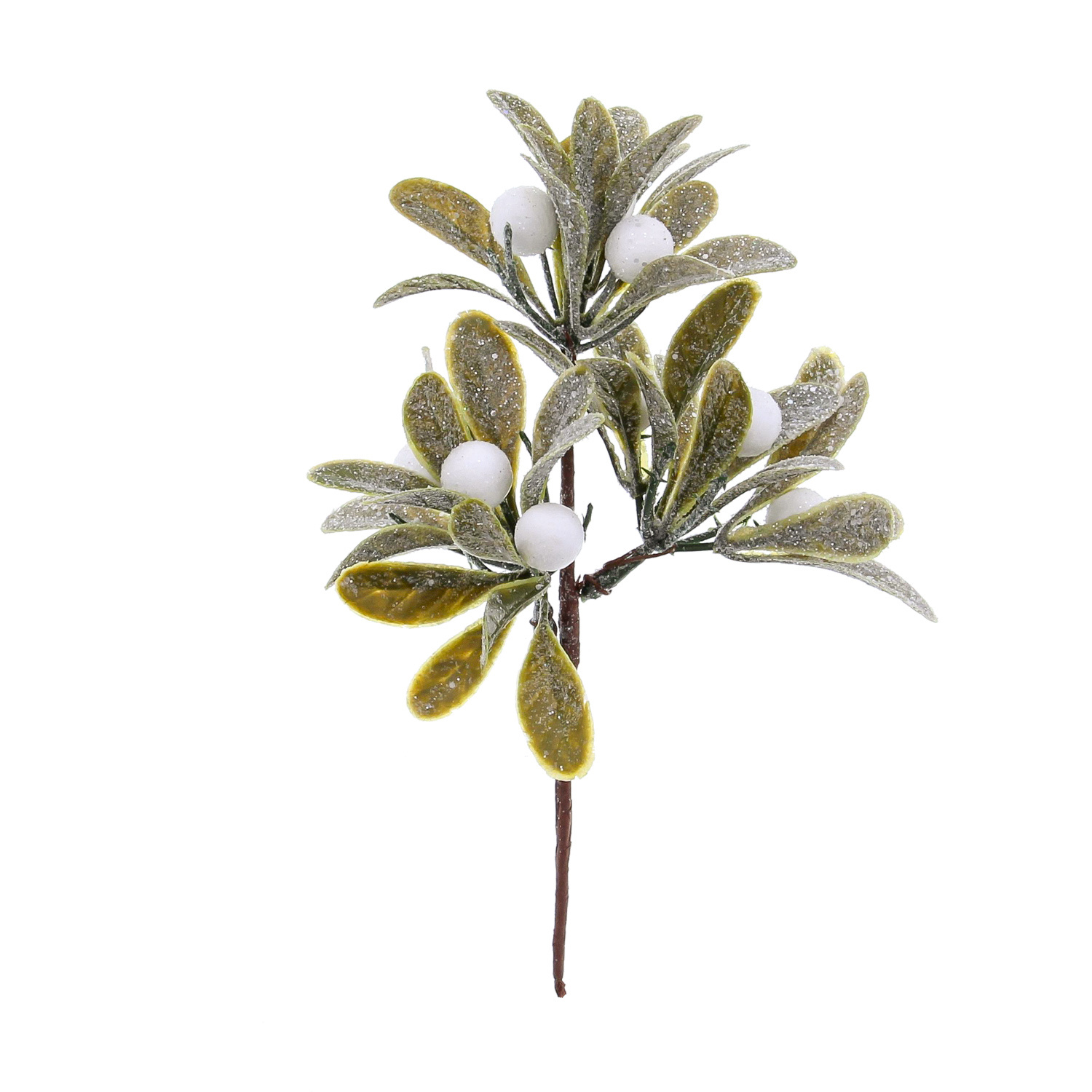 Mistletoe with 9 berries