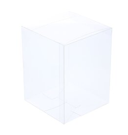 Transparente Box 150*150*200 mm