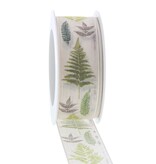 Ribbon with wire  Forest white - 40mm x 20m