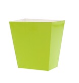 Conical tray high green - 2 sizes - 50 pieces