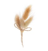 Fleurs séchées en piquet 10 cm avec bande adhésive écru - 12 pièces