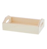 Rechteckiges Tablett mit Griff – 100*30*60 mm – 100 Stück