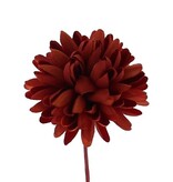 Dahlia - roest  - 60*90*60mm - 96 stuks